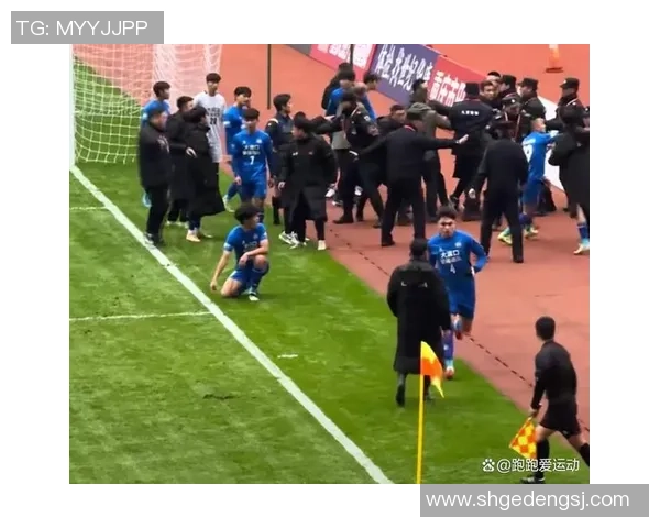 足球场上的对抗与争议如何看待挑衅裁判行为的影响与后果