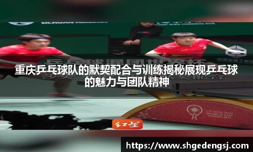 重庆乒乓球队的默契配合与训练揭秘展现乒乓球的魅力与团队精神